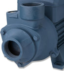 Neiko 50639 Electric Centrifugal Clear Water Pump, 1 HP