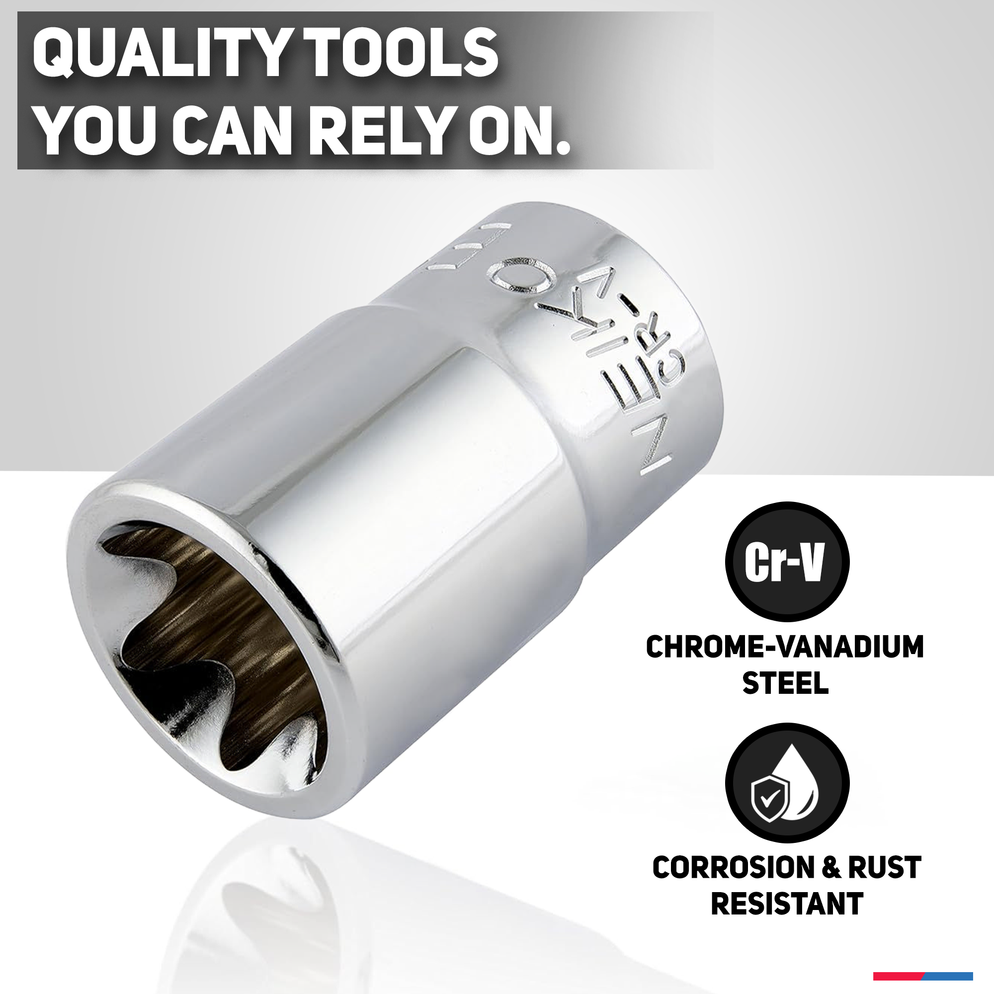 E-Torx External Socket Set — E4–E24, 1/4", 3/8" & 1/2" Drive, CrV (14-Piece)